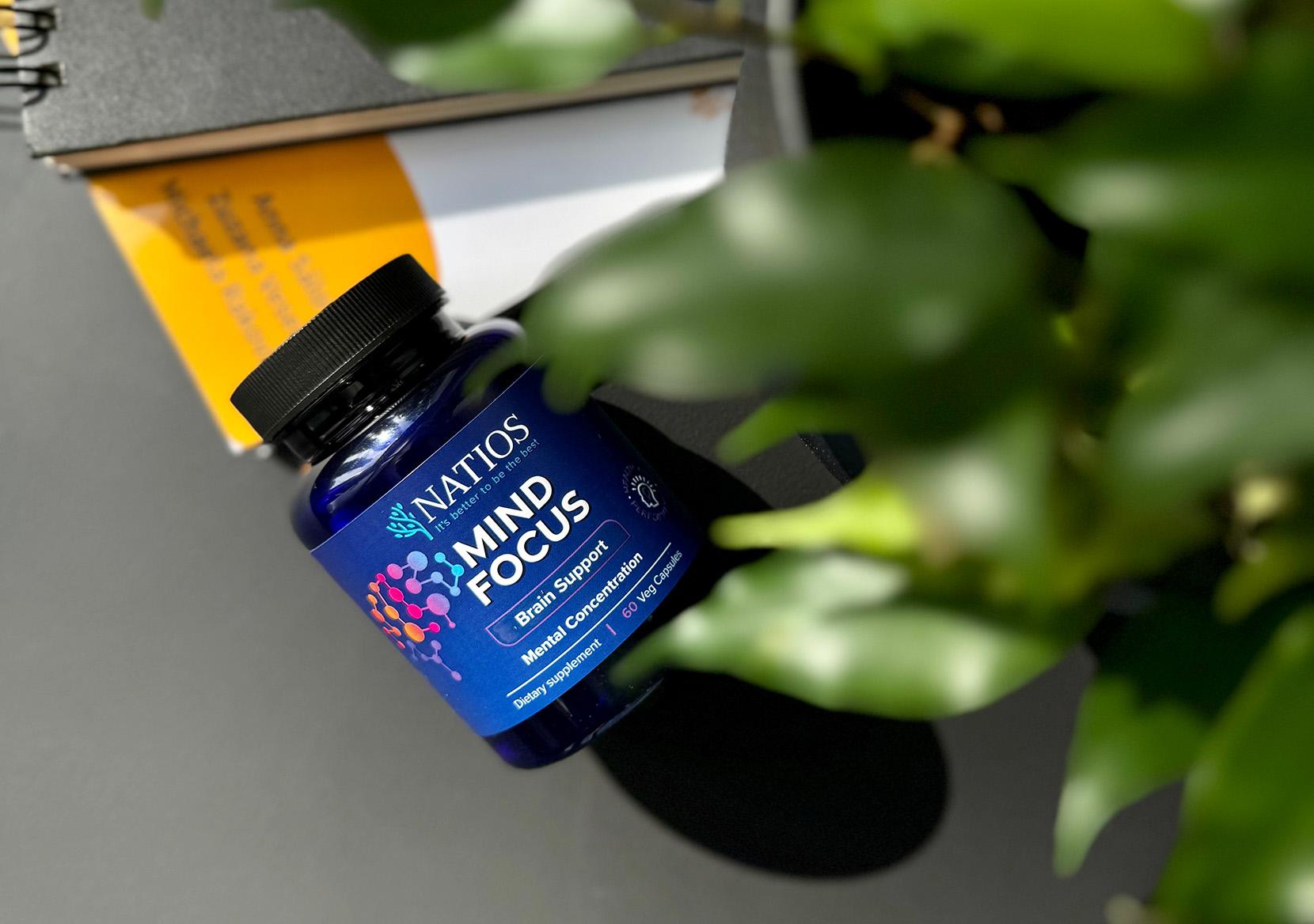 mind-focus-rostlina-studium